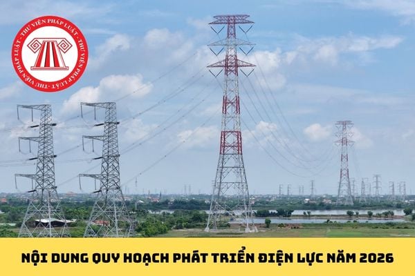 Pháp luật
