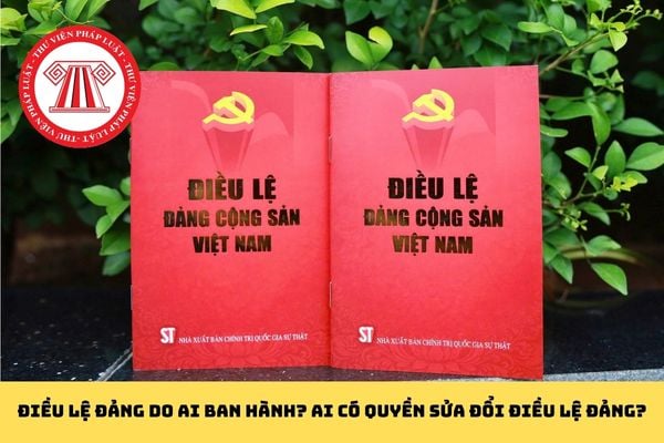 Pháp luật