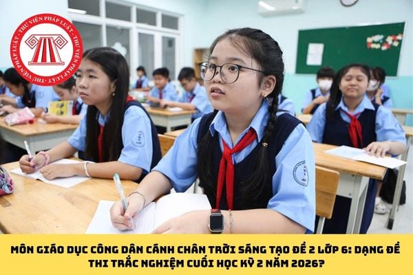 Pháp luật