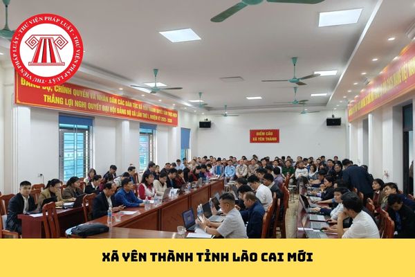 Pháp luật