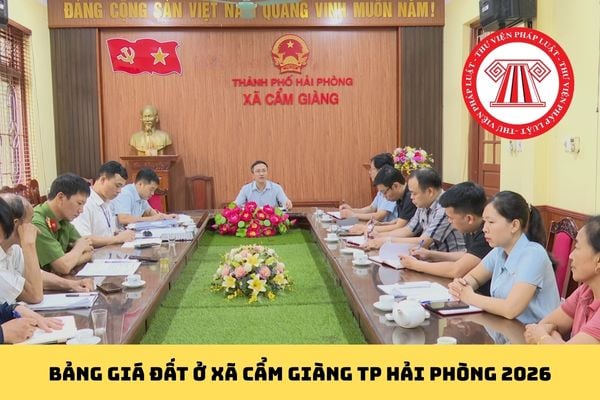 Pháp luật