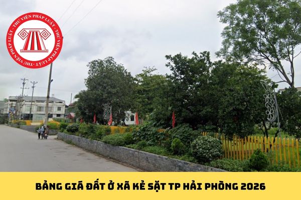 Pháp luật