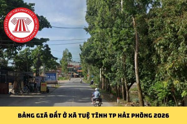 Pháp luật