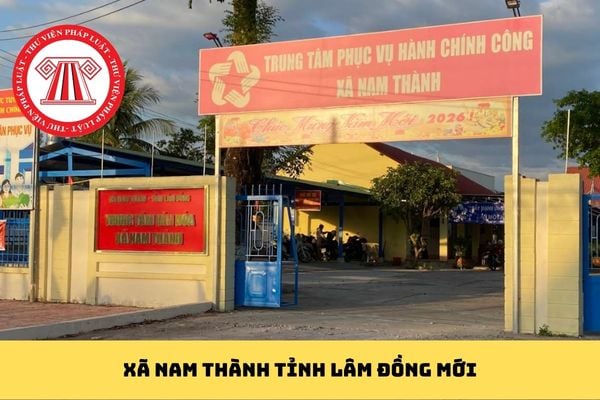 Pháp luật