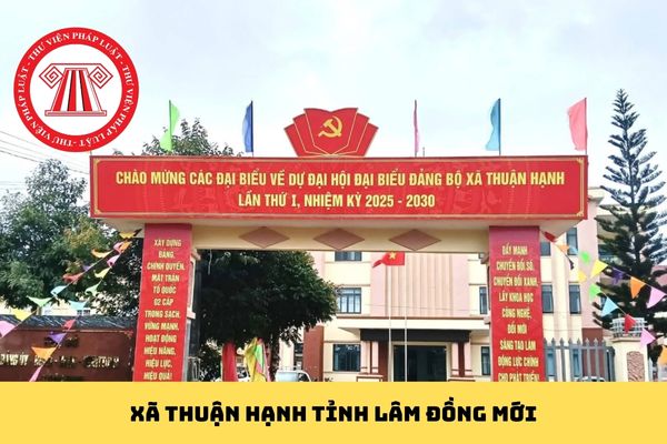 Pháp luật