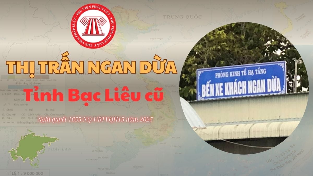 Pháp luật