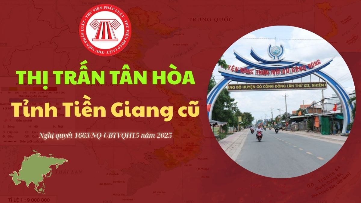 Pháp luật