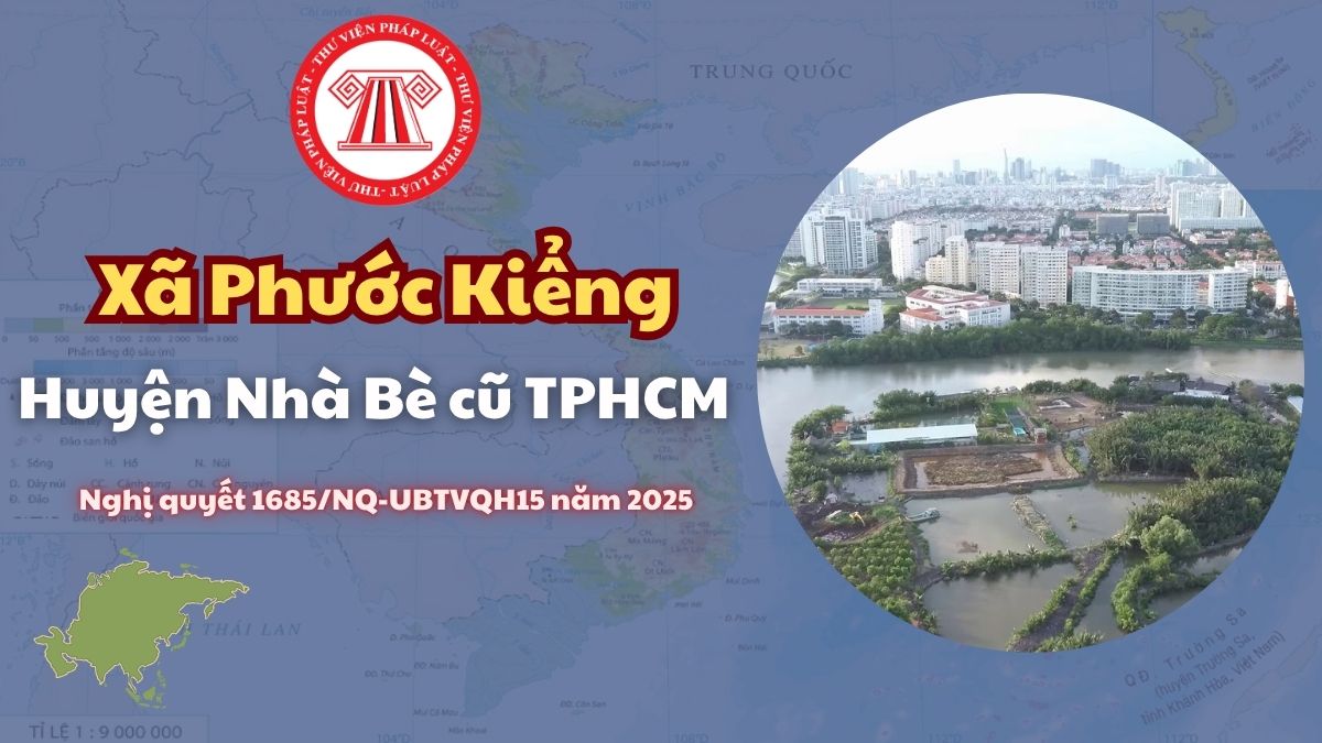 Pháp luật