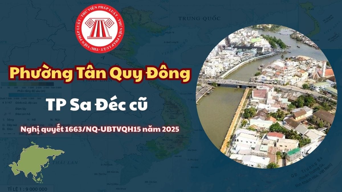 Pháp luật