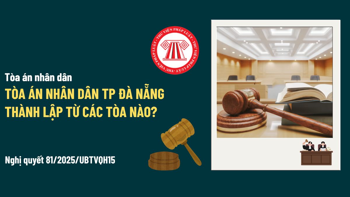 Pháp luật