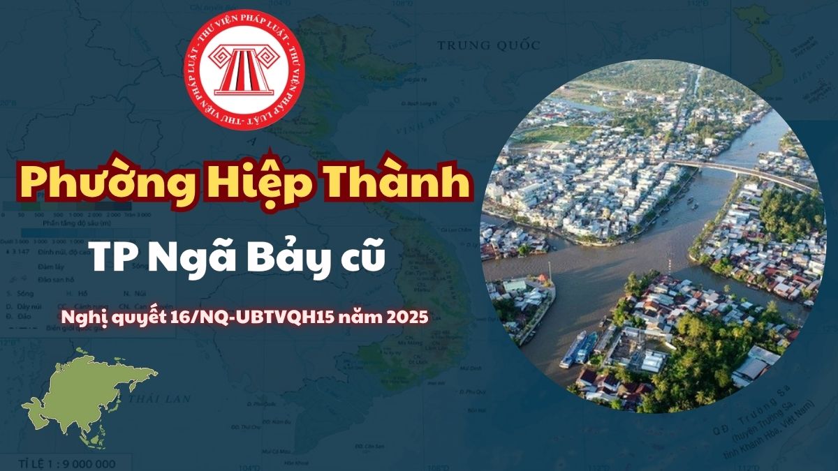 Pháp luật