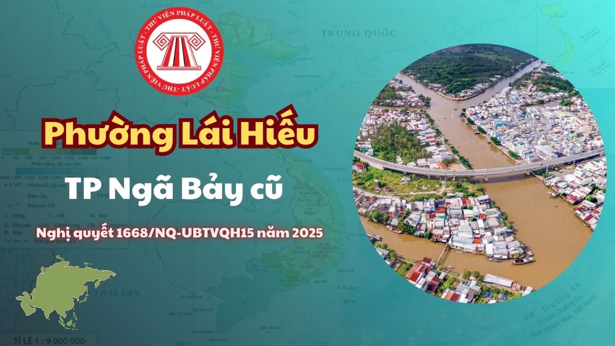 Pháp luật