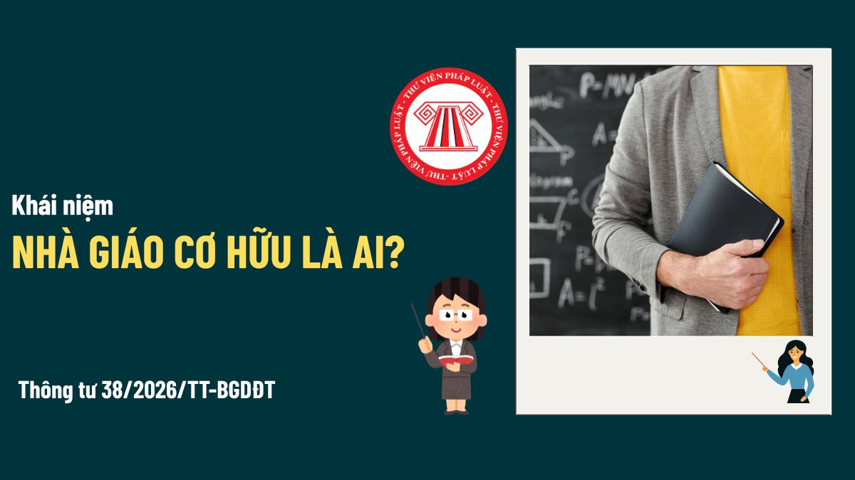 Pháp luật
