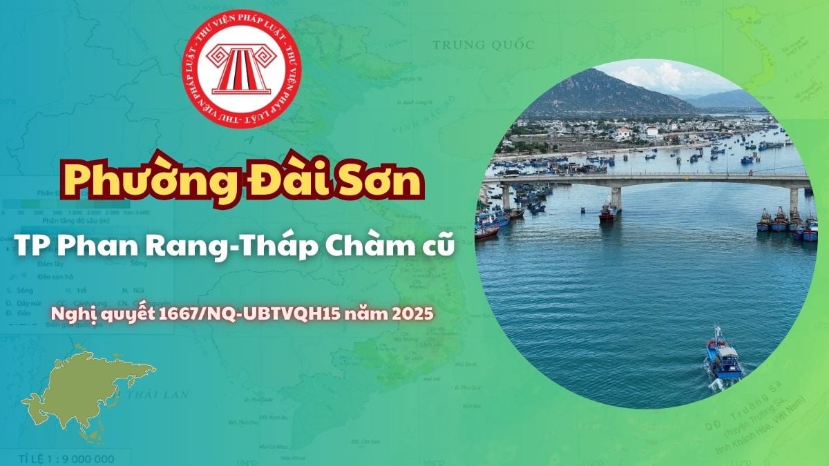 Pháp luật