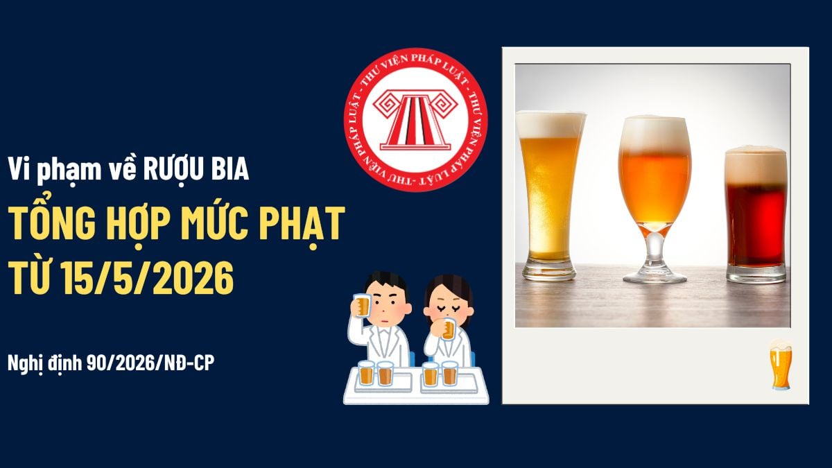 Pháp luật