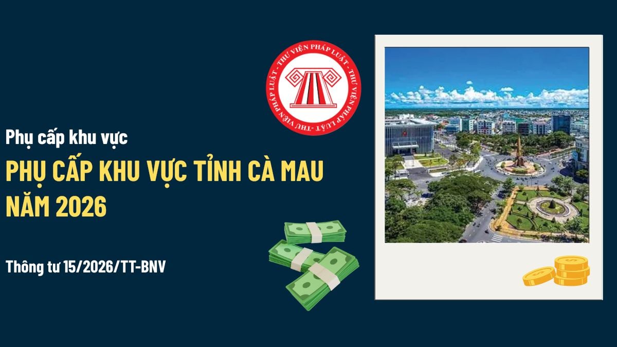 Pháp luật
