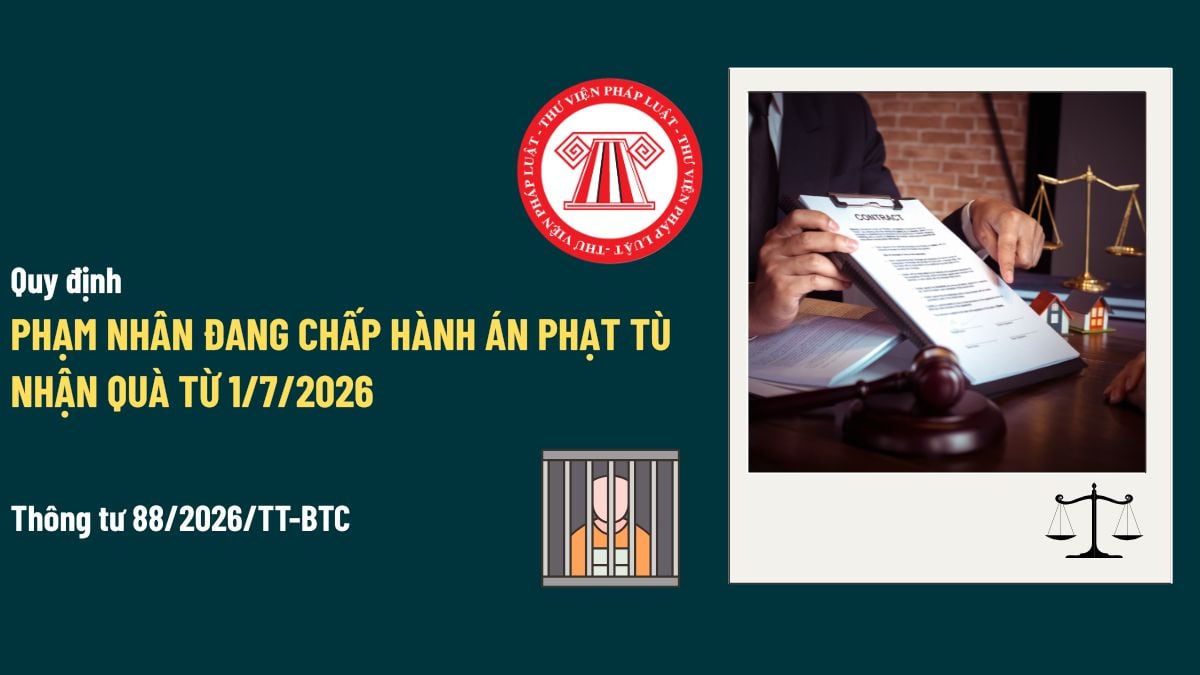 Pháp luật