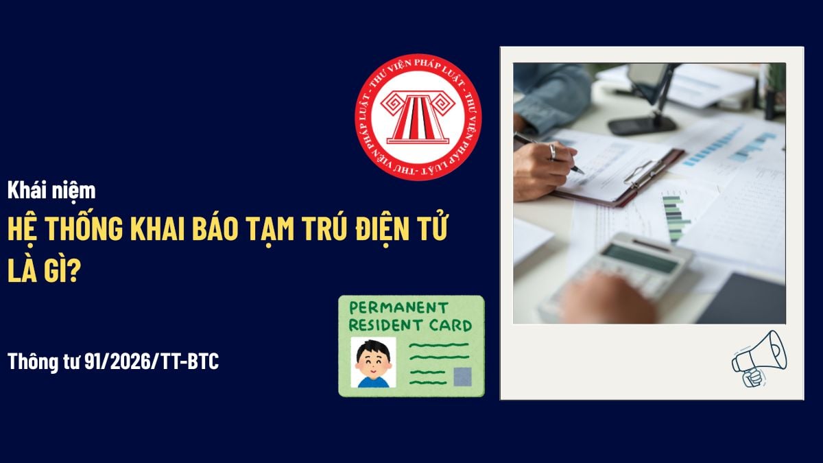 Pháp luật