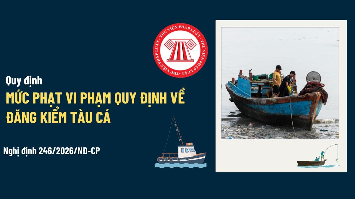 Pháp luật