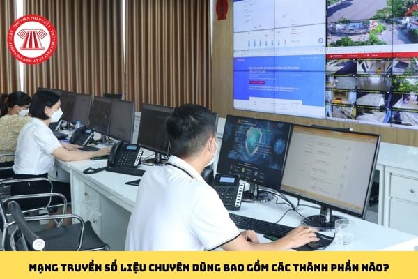 Mạng truyền số liệu chuyên dùng bao gồm các thành phần nào?