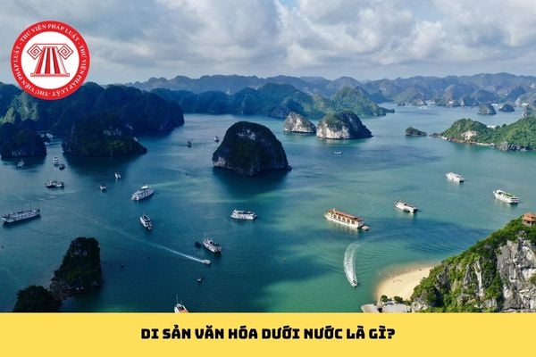 Pháp luật