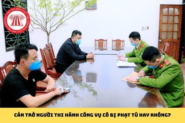 Pháp luật