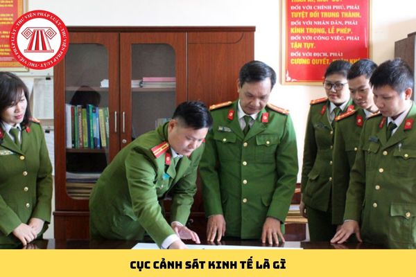 Pháp luật