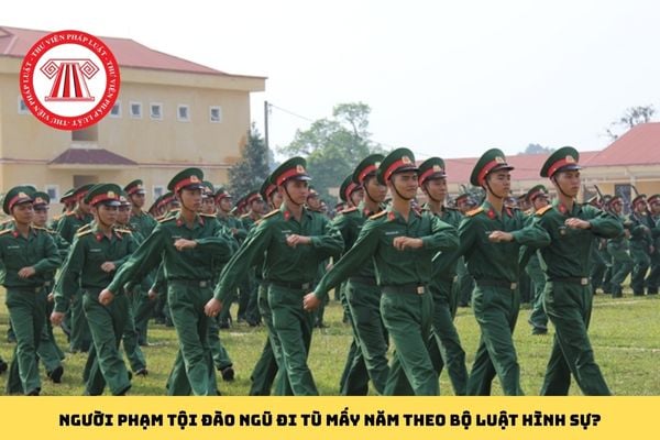 Pháp luật