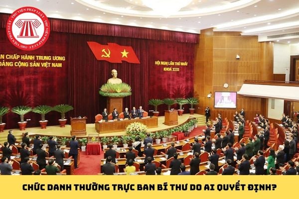 Pháp luật