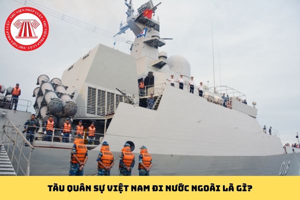 Pháp luật