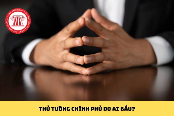 Pháp luật