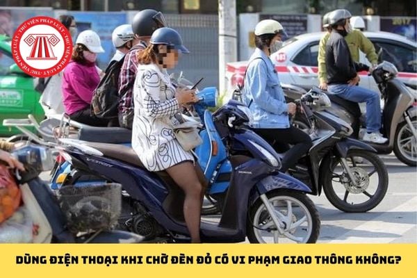 Pháp luật
