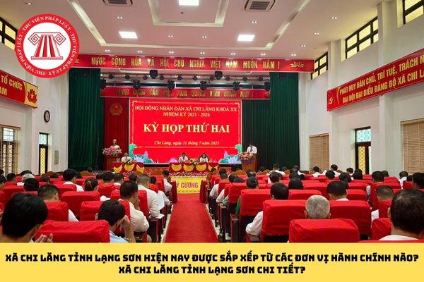 Pháp luật