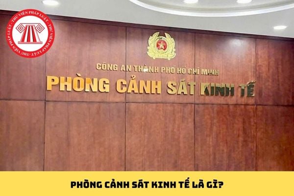 Pháp luật