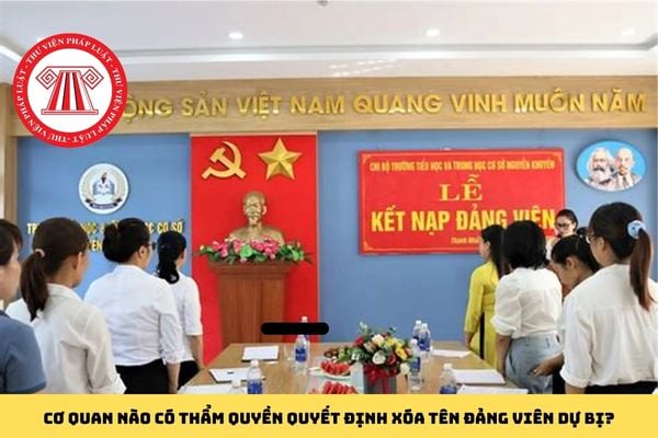 Pháp luật