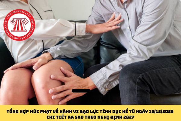 Pháp luật