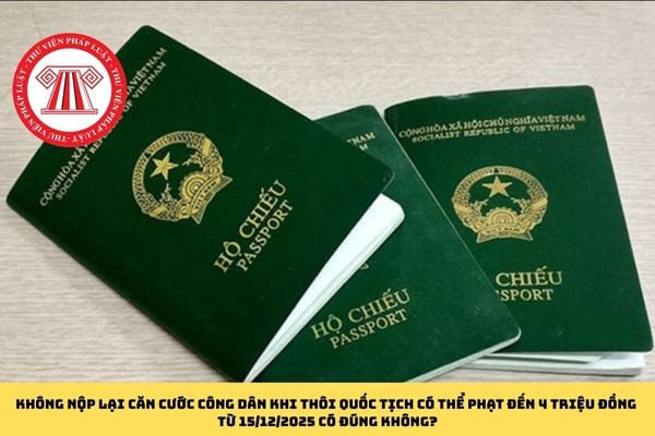 Pháp luật