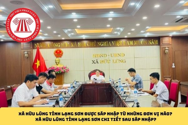 Pháp luật