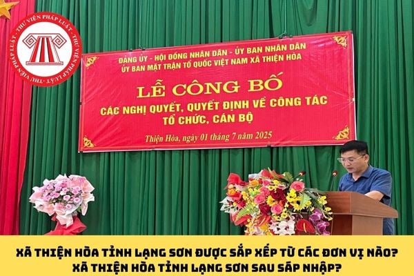Pháp luật