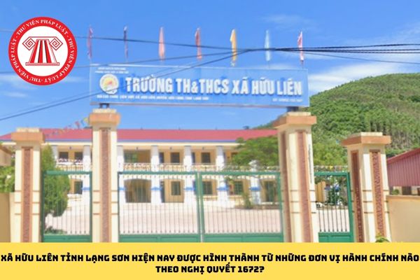 Pháp luật