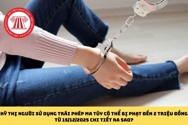 Pháp luật