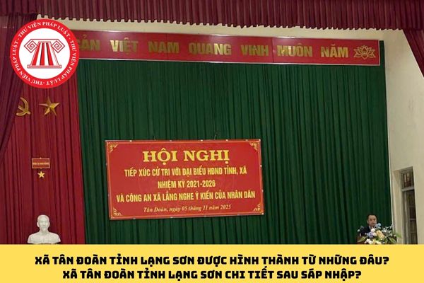 Pháp luật