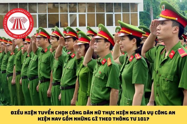 Pháp luật