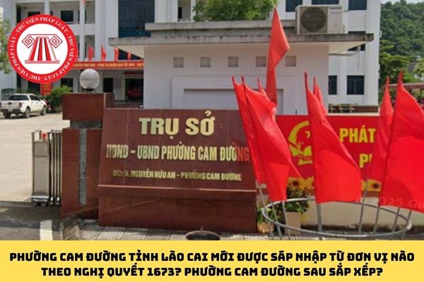 Pháp luật