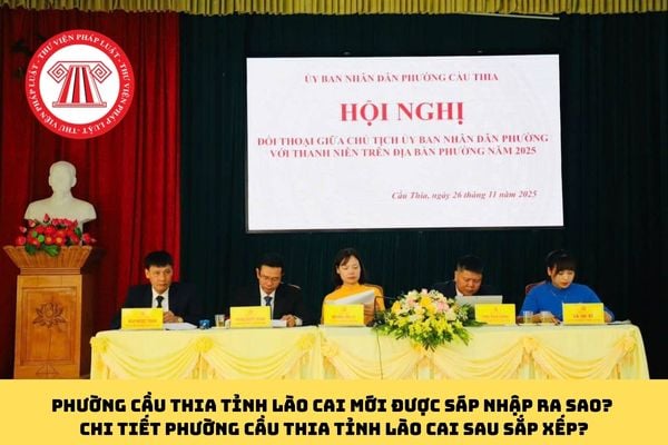Pháp luật