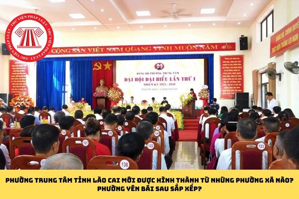 Pháp luật