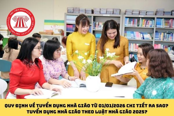 Pháp luật