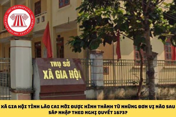 Pháp luật
