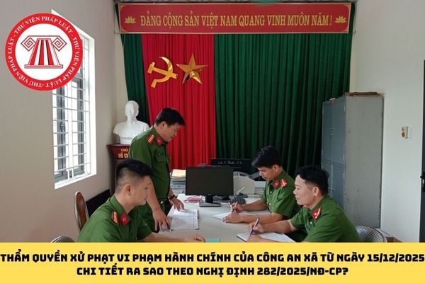 Pháp luật