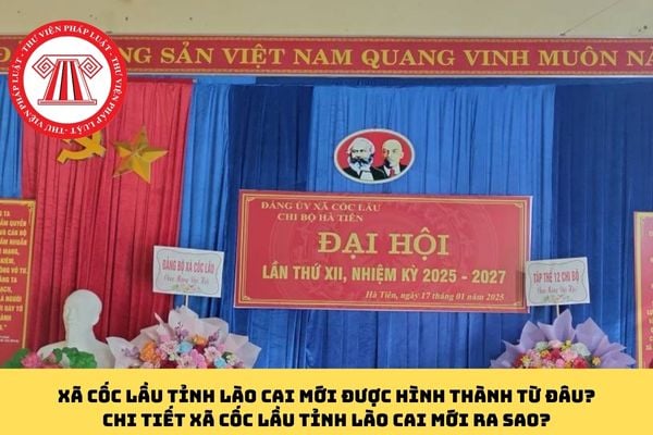 Pháp luật